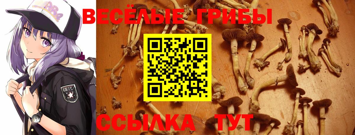 Галлюциногенные грибы ЛСД Липецк