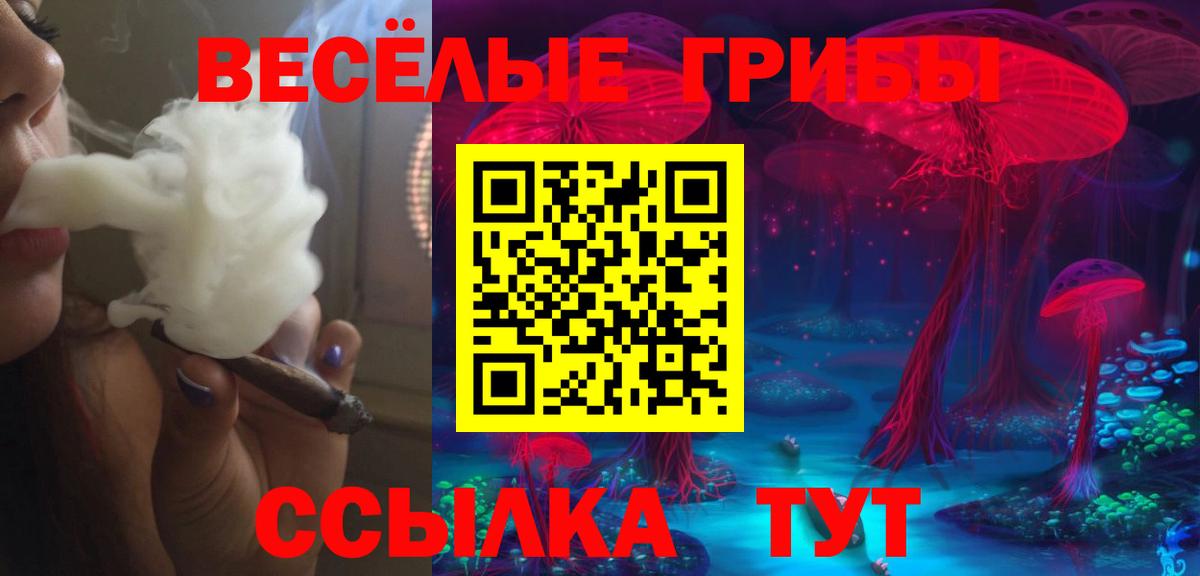 Липецк  Галлюциногенные грибы Psilocybine cubensis  Вход с VPN 